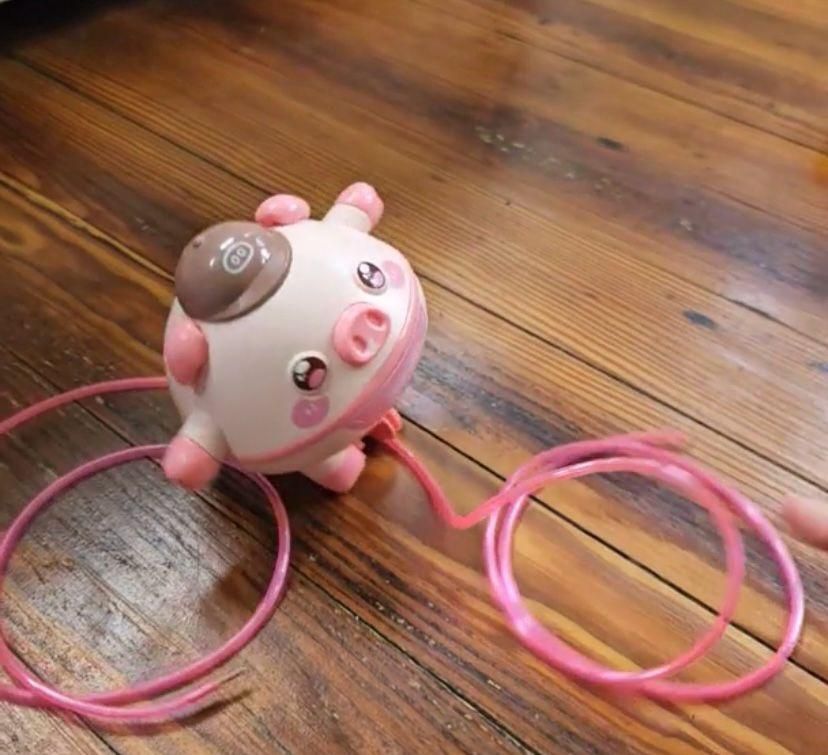 Tightrope Walking Tumbler Pig Toy